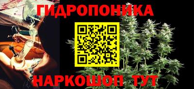 мяу мяу мука Бердск