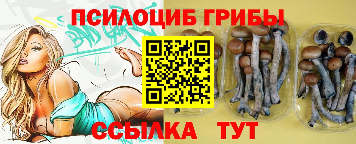Алексин  Псилоцибиновые грибы ЛСД  купить закладку  Вход с VPN 